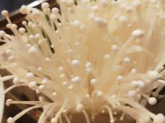 -舒家大院重庆老火锅(纪念塔店)