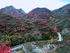 -水峪民俗村