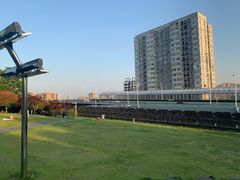 -楚望台遗址公园