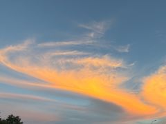 -枸杞岛