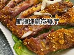 -新疆红柳花餐厅(新洲店)