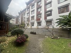 -九华山聚龙大酒店