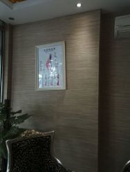 -成都伊贝丝美容美胸SPA会所