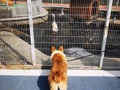 -北京园博大酒店