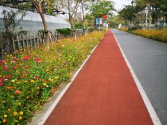 -前小桔亲子创意农场·草莓采摘·露营烧烤