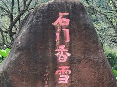 -广州市石门国家森林公园