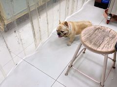 -陈记栗子(长宁路店)