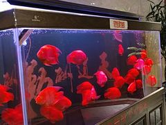 -天水华辰大酒店