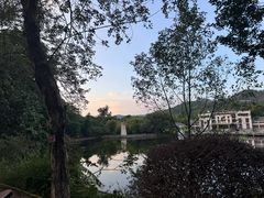 -大屏嶂森林公园