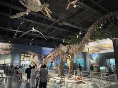 -国家自然博物馆