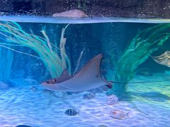 -沈阳海洋探索中心