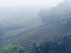-东部华侨城