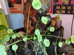 -姥家大锅台水库渔家