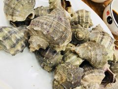 -渔家小院观海海肠捞饭地方菜(环海中路店)