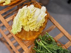 -蘑统田下·野生菌火锅