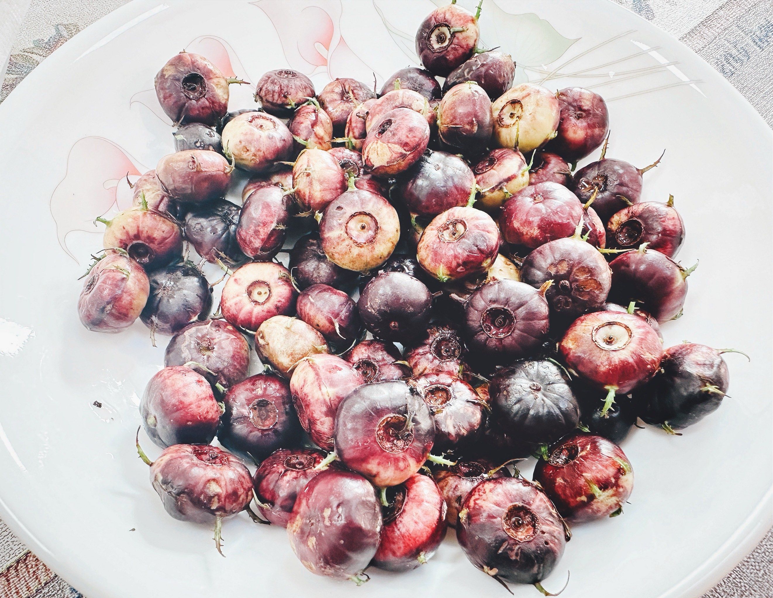 高端小众水果之云南红参果