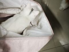 -一片田陶艺工作室