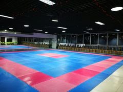 活动室-陈中跆拳道(中关村馆)