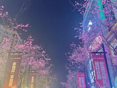 -南屏步行街
