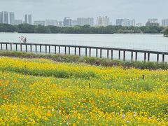 -海珠湖公园