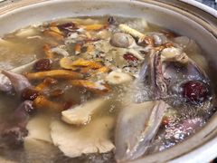 -鸽鸟轩(石岐店)