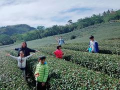 -优游吧斯邹族文化部落