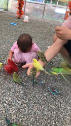 -萌宠亲子动物乐园(槐房万达店)