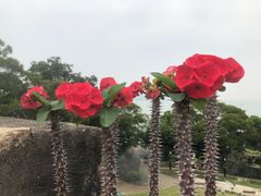 -胡里山炮台