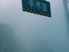 -守诺宠物医院·眼科· 特色牙科·异宠专科(虹口店)