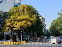 -百汇商业广场(东风西路店)