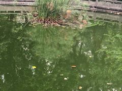 -广州近代史博物馆