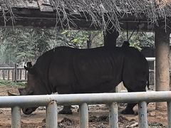 -石家庄市动物园