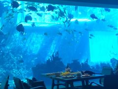 -海棠湾洲际-涛·海底餐厅·美人鱼·自助餐·海底隧道