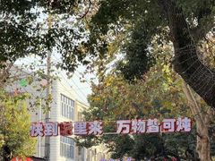 -军子大排档(迎春花园店)