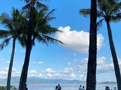 -深圳湾公园(南山区)