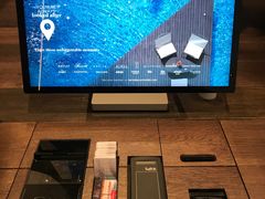 -新加坡瑞士史丹福酒店