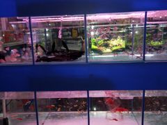 -三旗百汇商品城