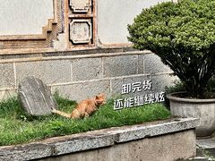 -喜洲翰林餐厅(董家百年老宅店)