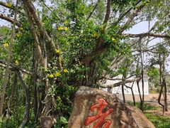 -海南文笔峰盘古文化旅游区