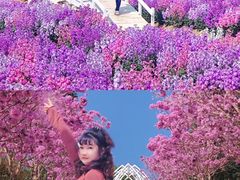 -盈香心动乐园
