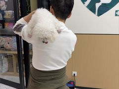 -瑞派康怡24h宠物医院·犬猫医疗中心·微创绝育(瑞景分院)