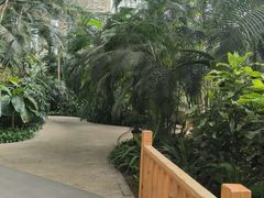 -中家鑫园温泉酒店鑫悦汤泉