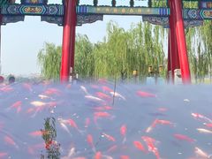 -济南大明湖景区