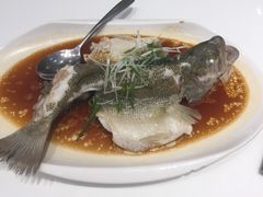 -至潮餐厅精致粤菜·活鲈鱼·走地鸡(珠江新城店)