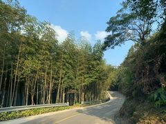 -广州市石门国家森林公园