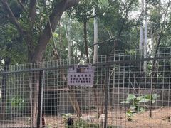-厦门悦华酒店