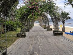 -大梅沙海滨公园