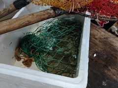 -金三可市井水煮鱼(金碧园店)