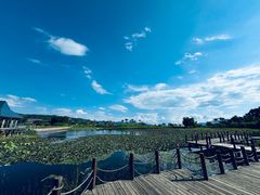 -月亮湾湿地公园