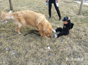 所有的玩笑里，都藏着认真的话